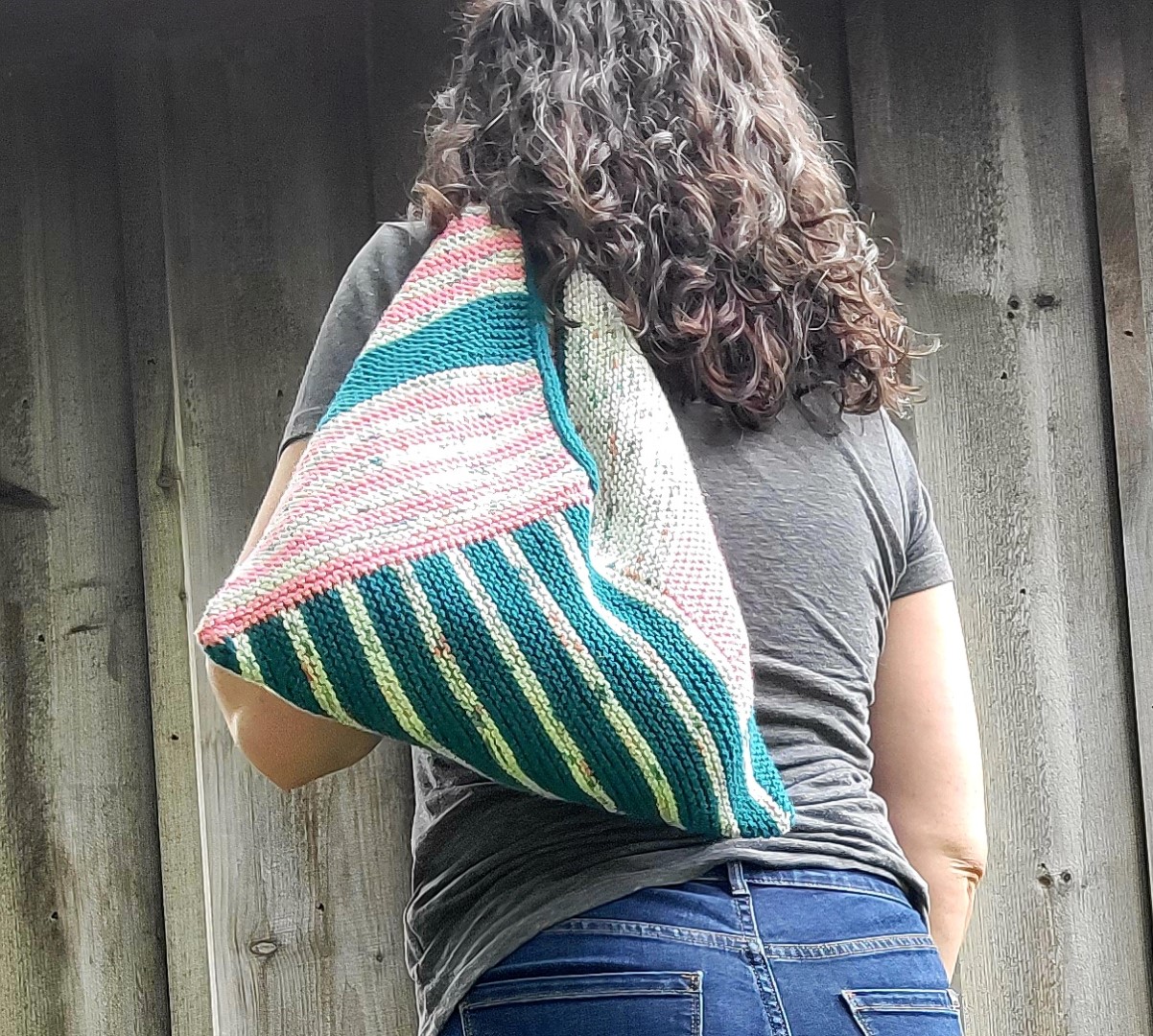 MODULAR BENTO BAG