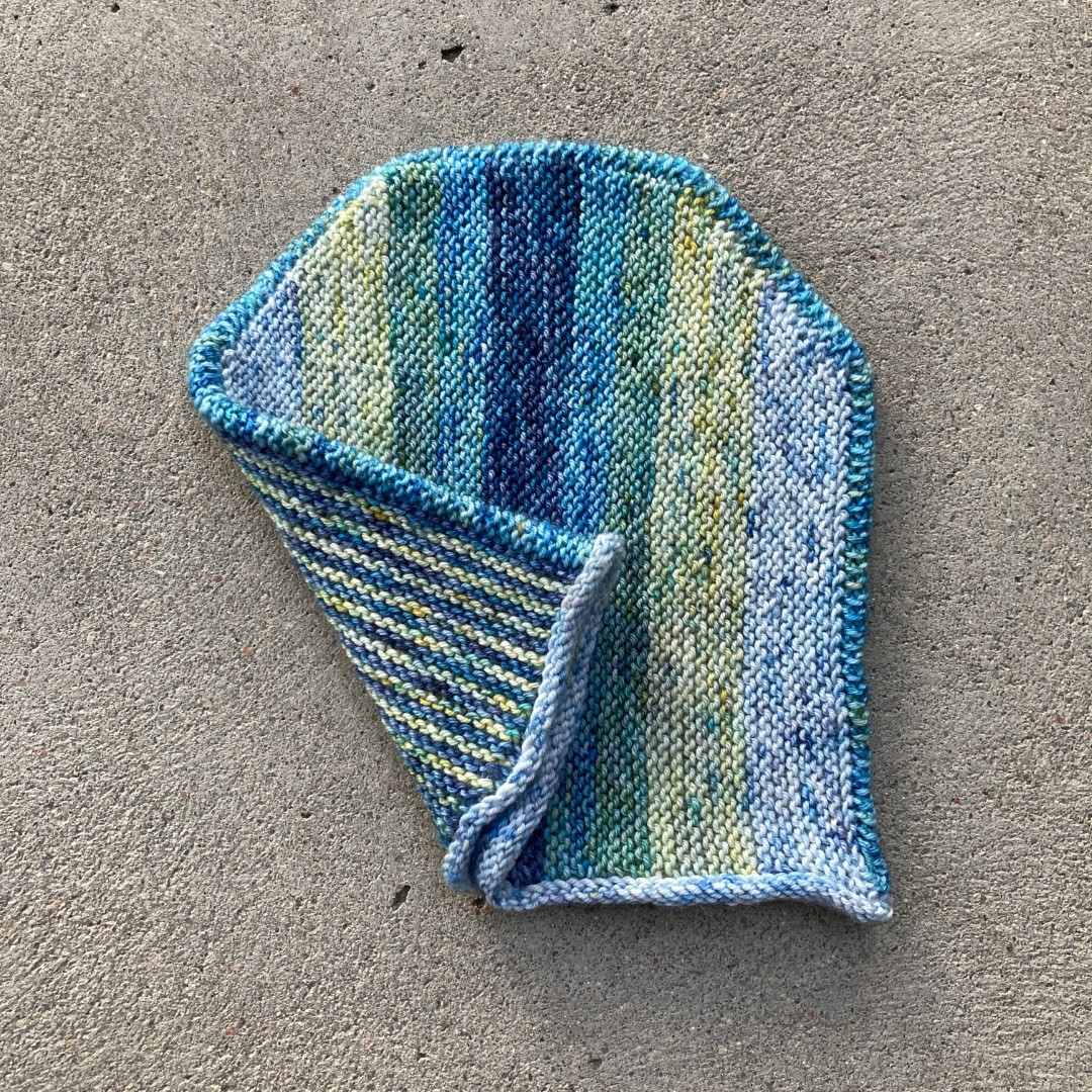 COIN FLIP HAT