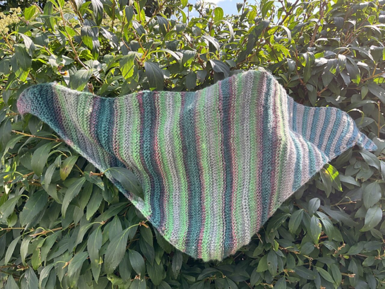 TATER TOTS BANDANA